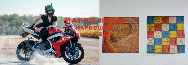 гашик Аркадак