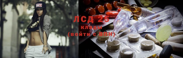 гашик Аркадак
