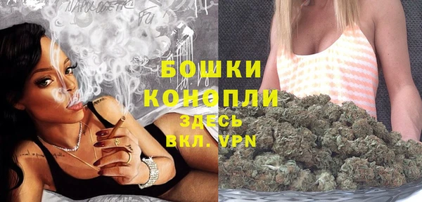 гашик Аркадак