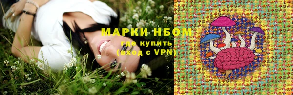 гашик Алексеевка