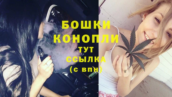 гашик Аркадак