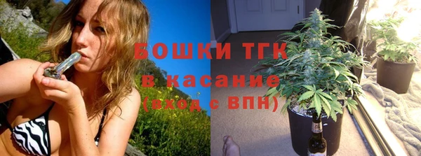 гашик Аркадак